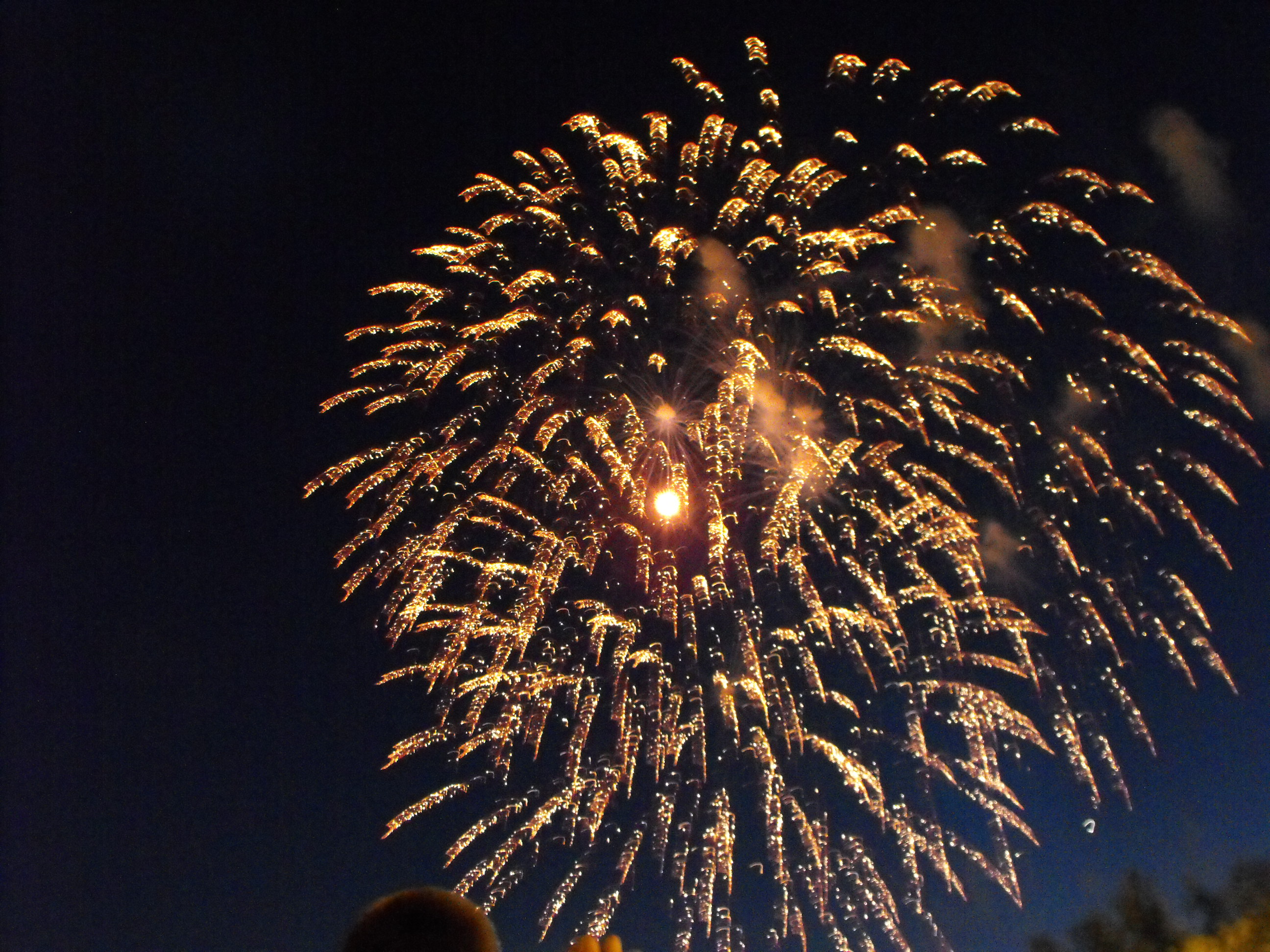 ./2010/Fourth of July/4th July Fireworks Wilm 0027.JPG